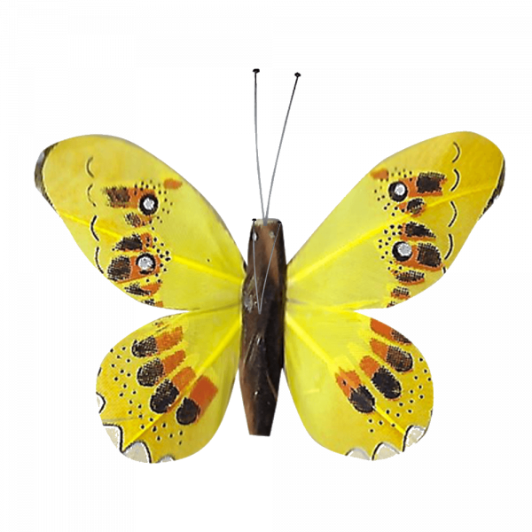 Papillons Suspendus en Couple au Vol Perpétuel : HélioBil